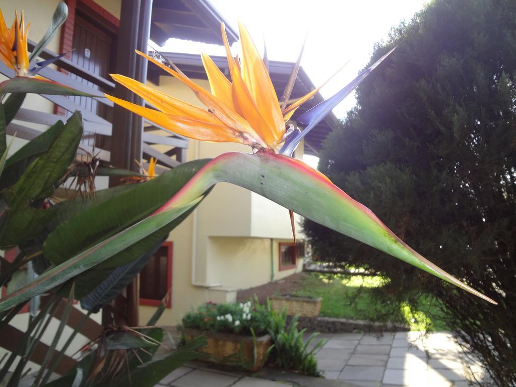 Pousada Floratta Nossa Casa Gramado Ngoại thất bức ảnh