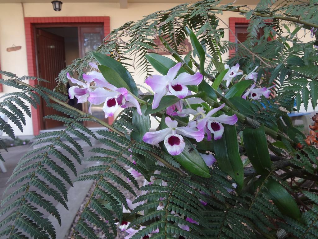 Pousada Floratta Nossa Casa Gramado Ngoại thất bức ảnh